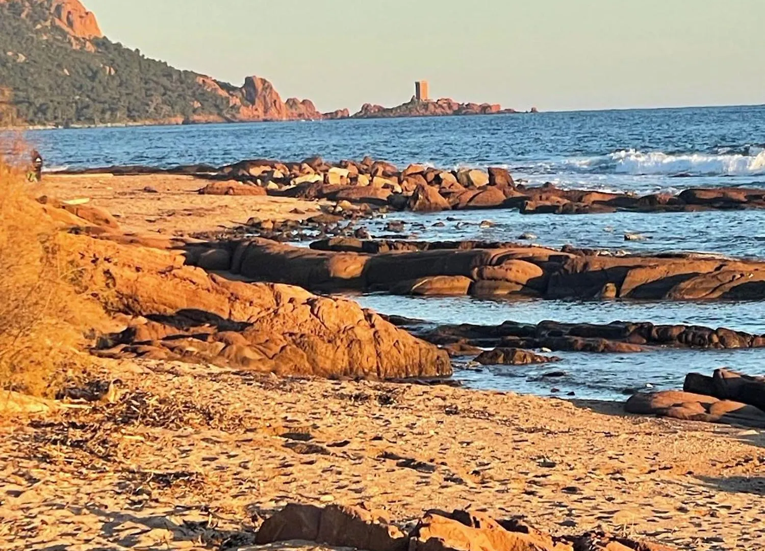 Les Anthemis- Bord De Mer Saint-Raphael  Saint-Raphael (Var)