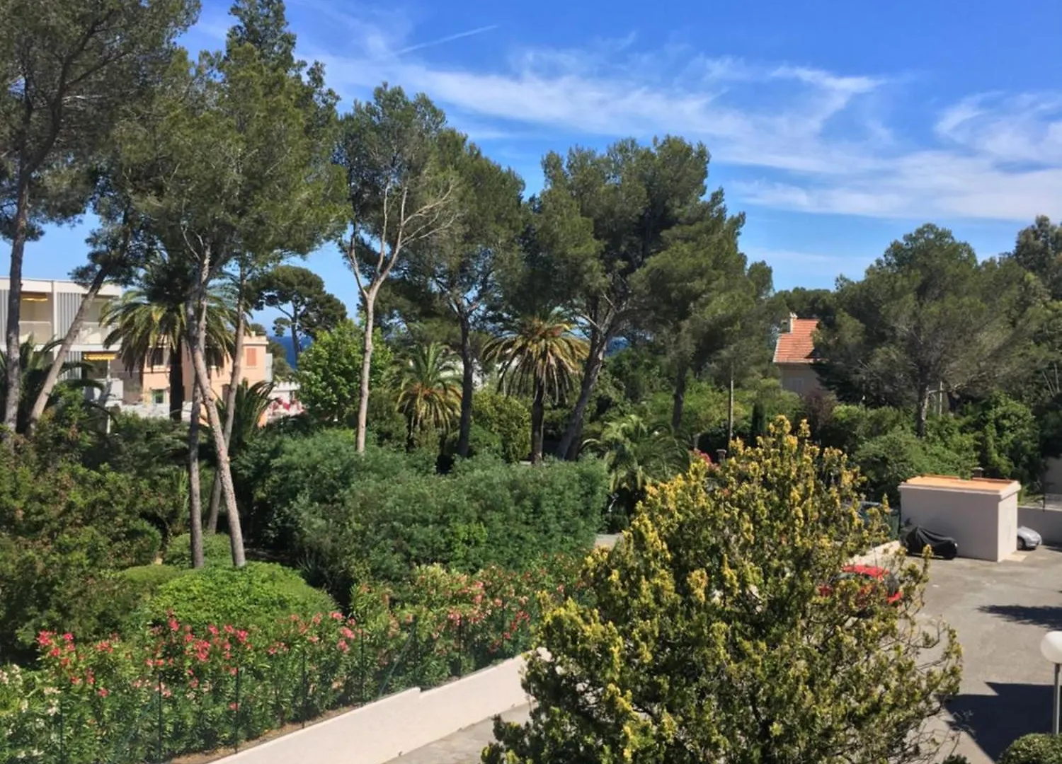Les Anthemis- Bord De Mer Saint-Raphael