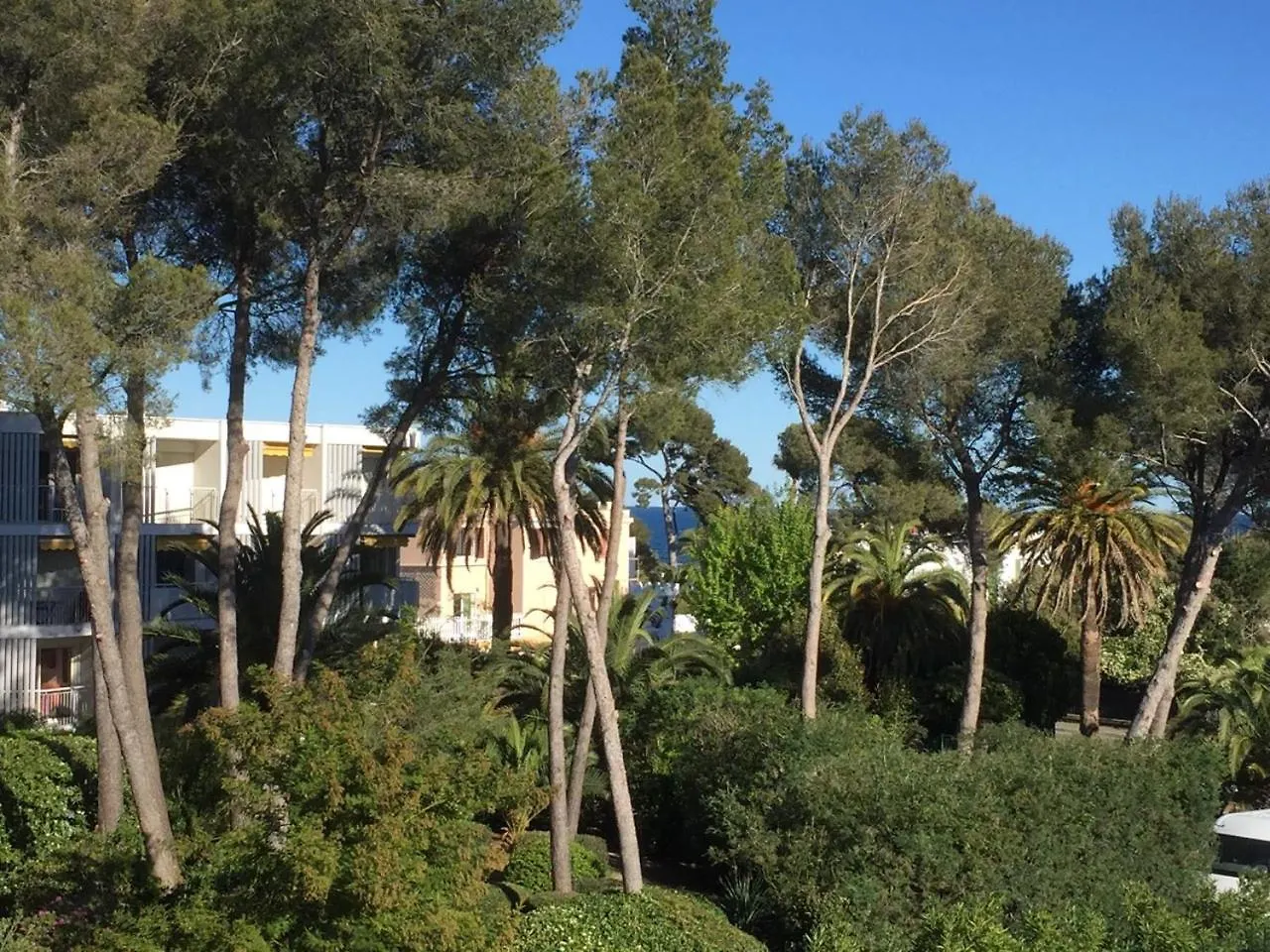 Les Anthemis- Bord De Mer Saint-Raphael